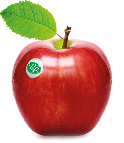 pomme.jpg